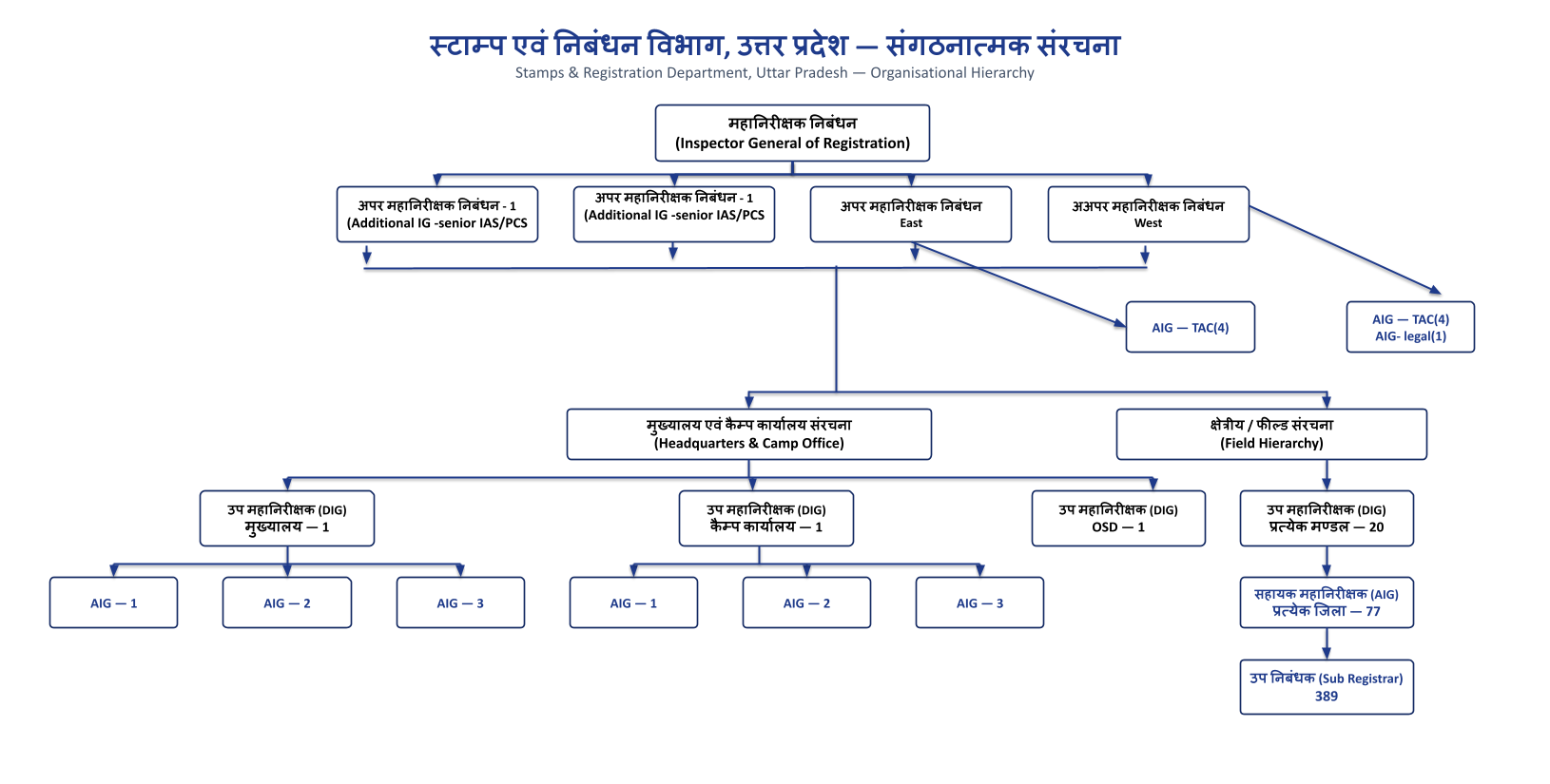 Department Structural Framework